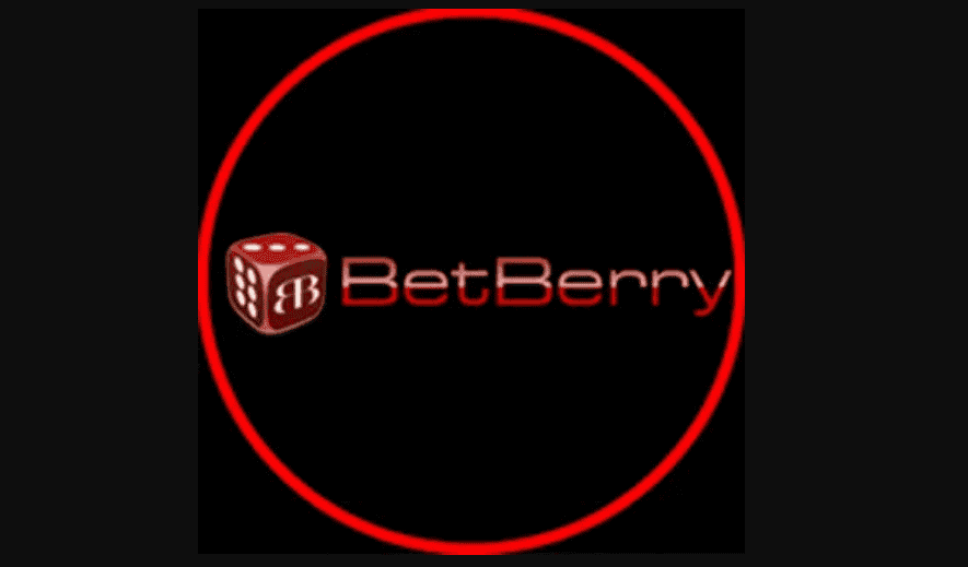 Alasan Link Alternatif Betberry Lebih Baik daripada Pakai VPN